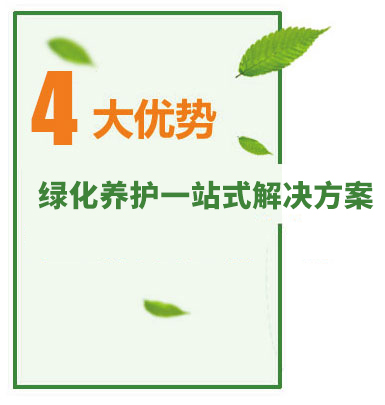 綠化保養