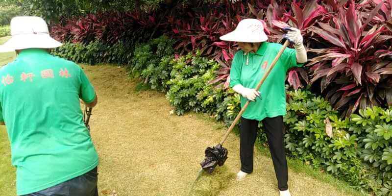 綠化養護除草