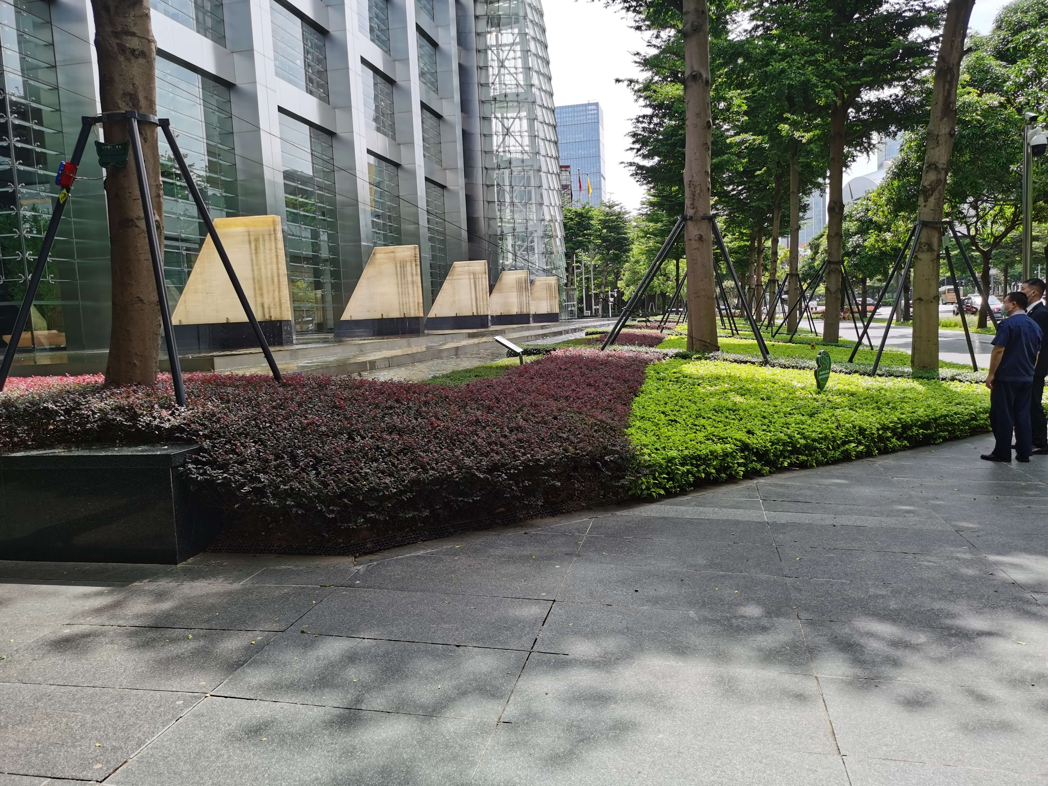 綠化養護