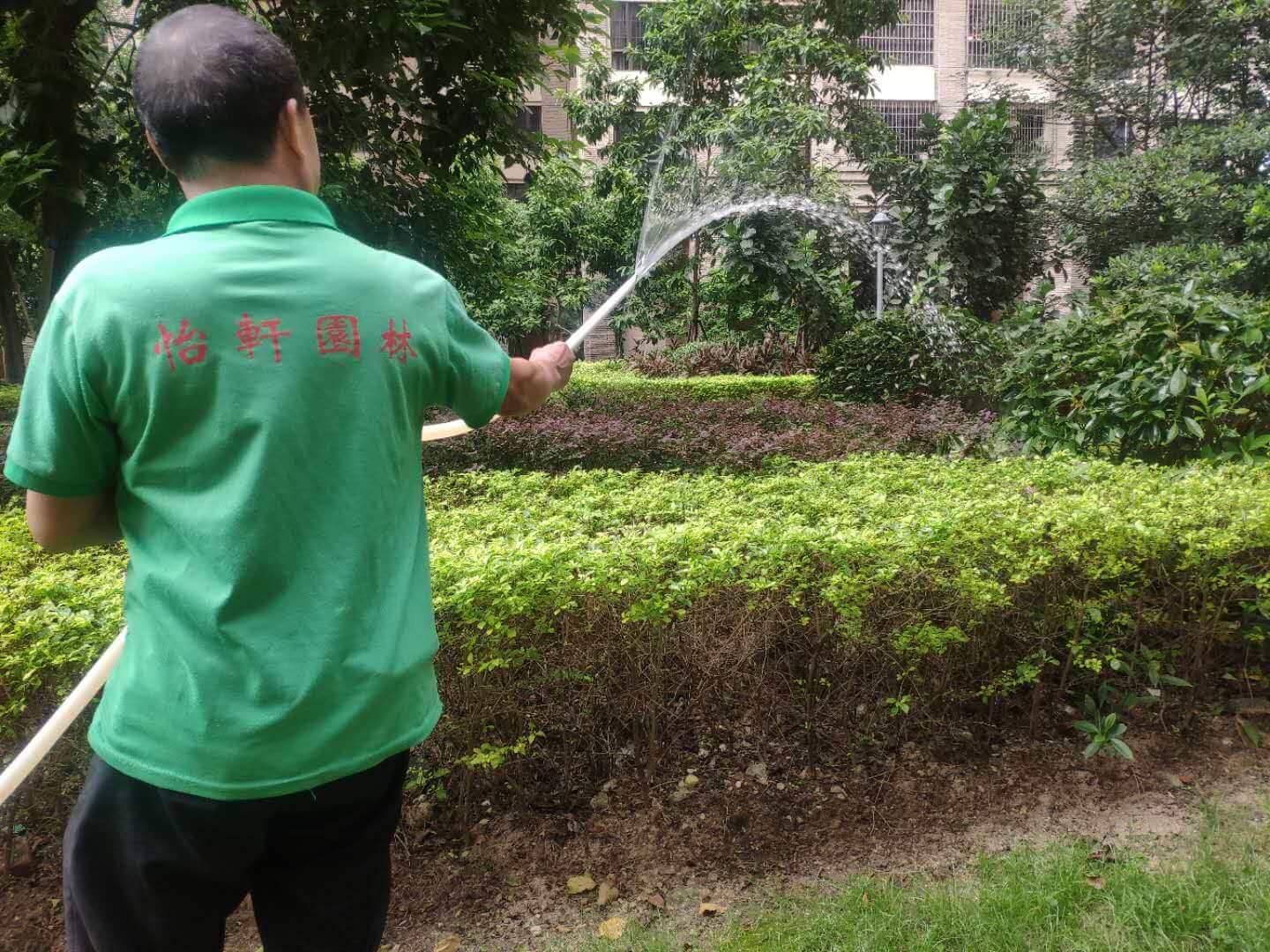 小區綠化維護 小區綠化維護