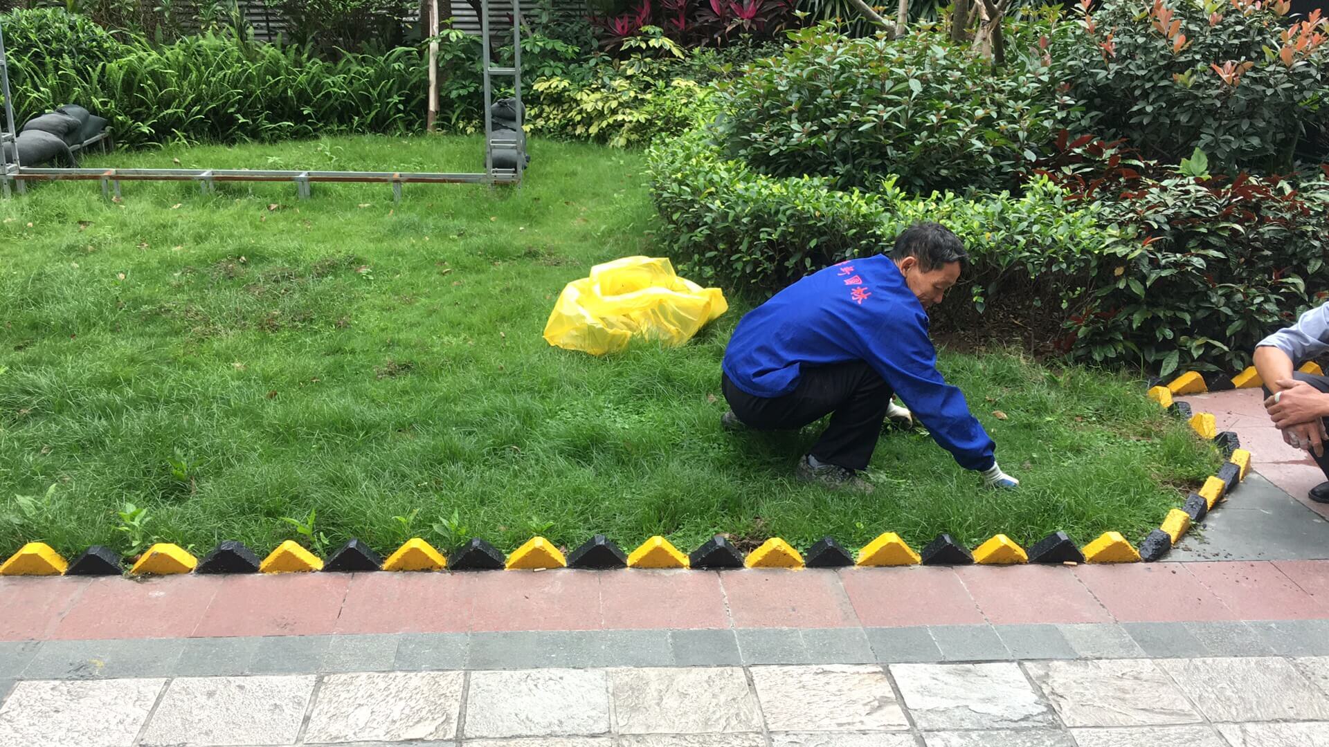 綠化維護