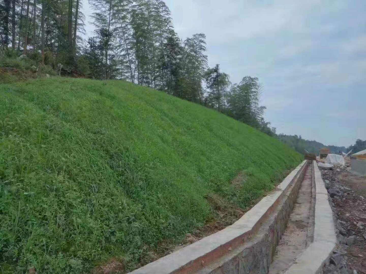 綠化養護