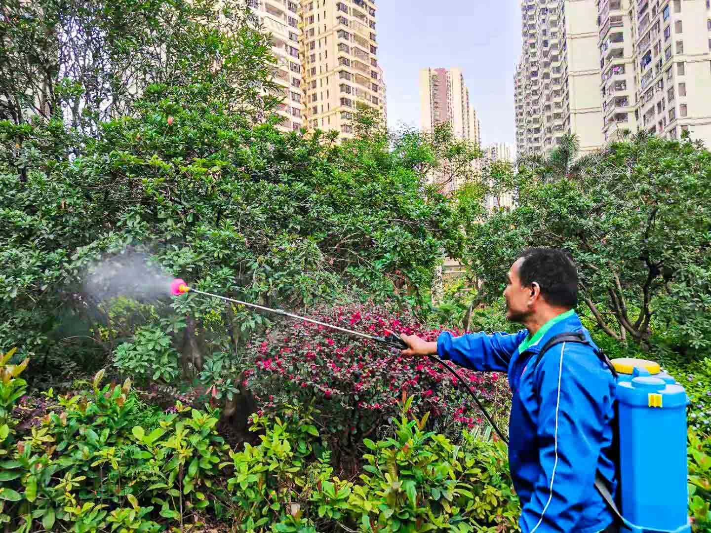 園林綠化養護,除草劑