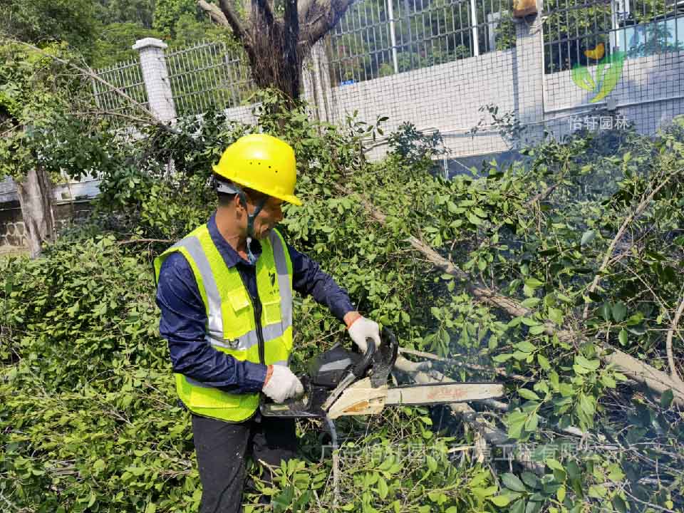綠化工程，園林綠化公司