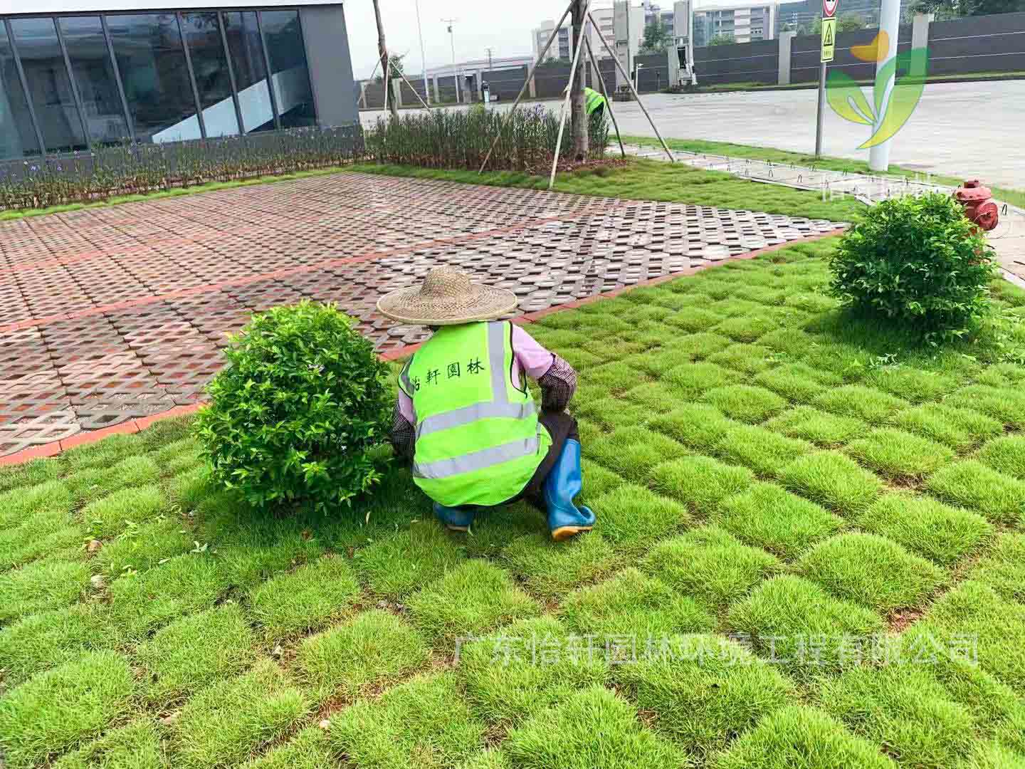 園林綠化工程