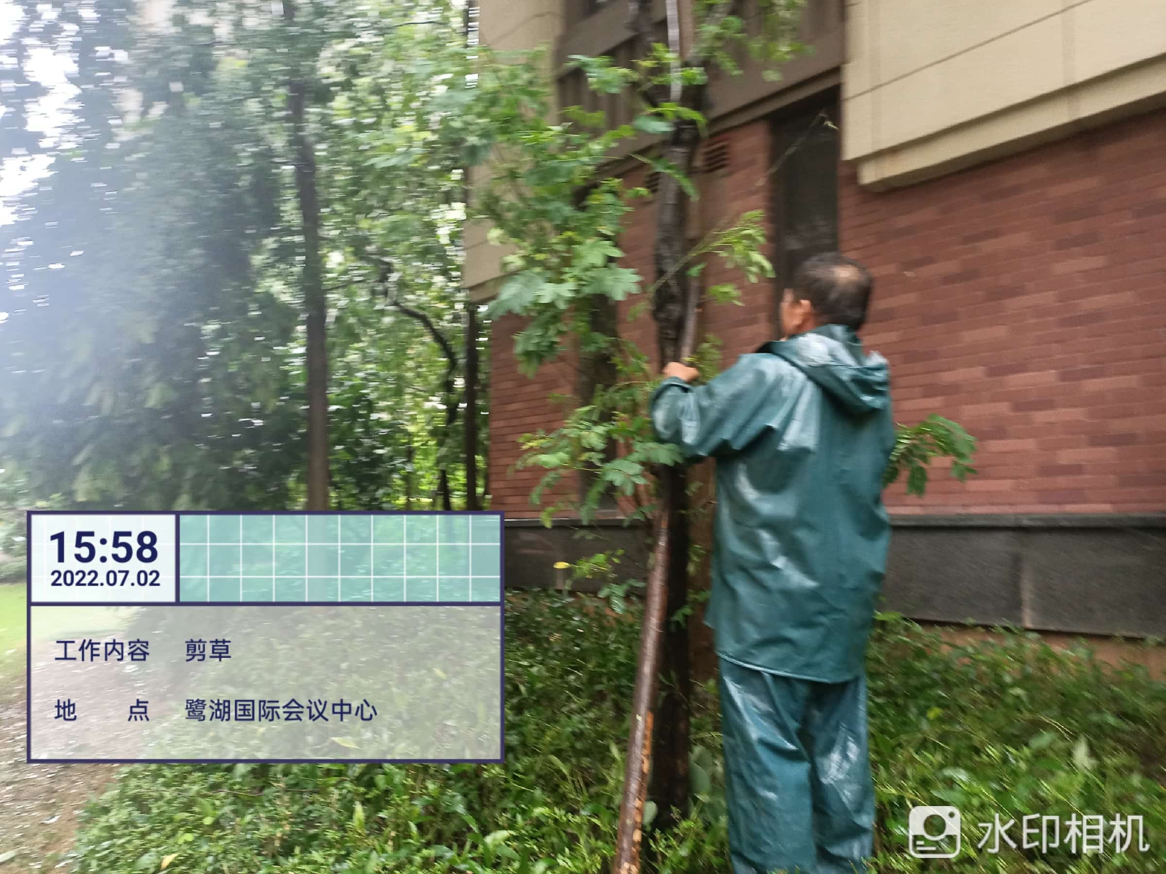 園林綠化公司,綠化養護,園林綠化