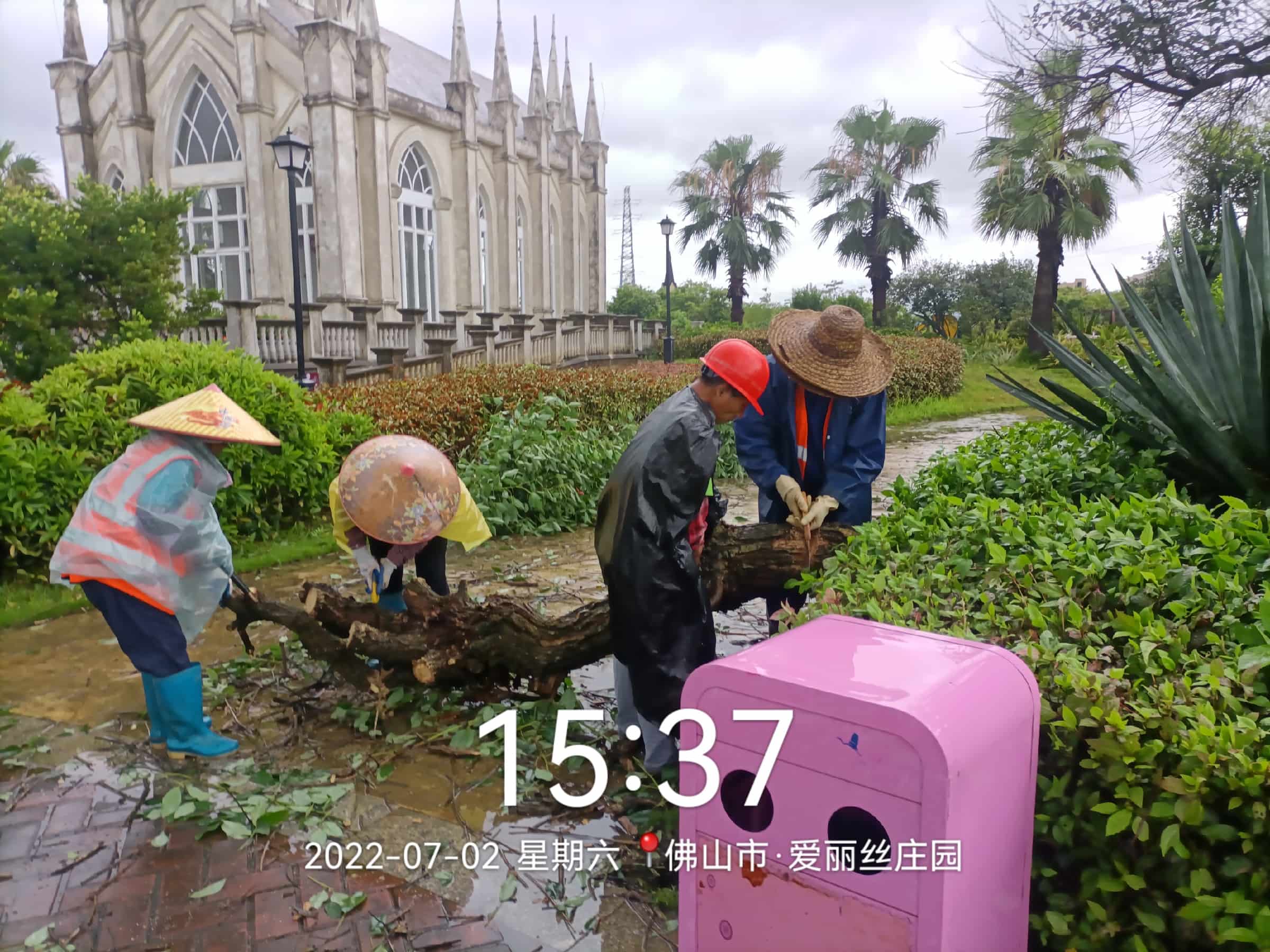 苗木,園林景觀