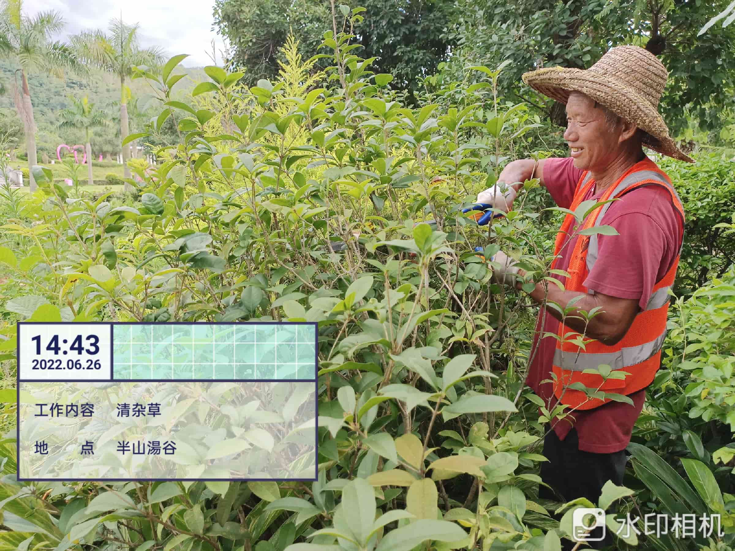 景觀,園林工程