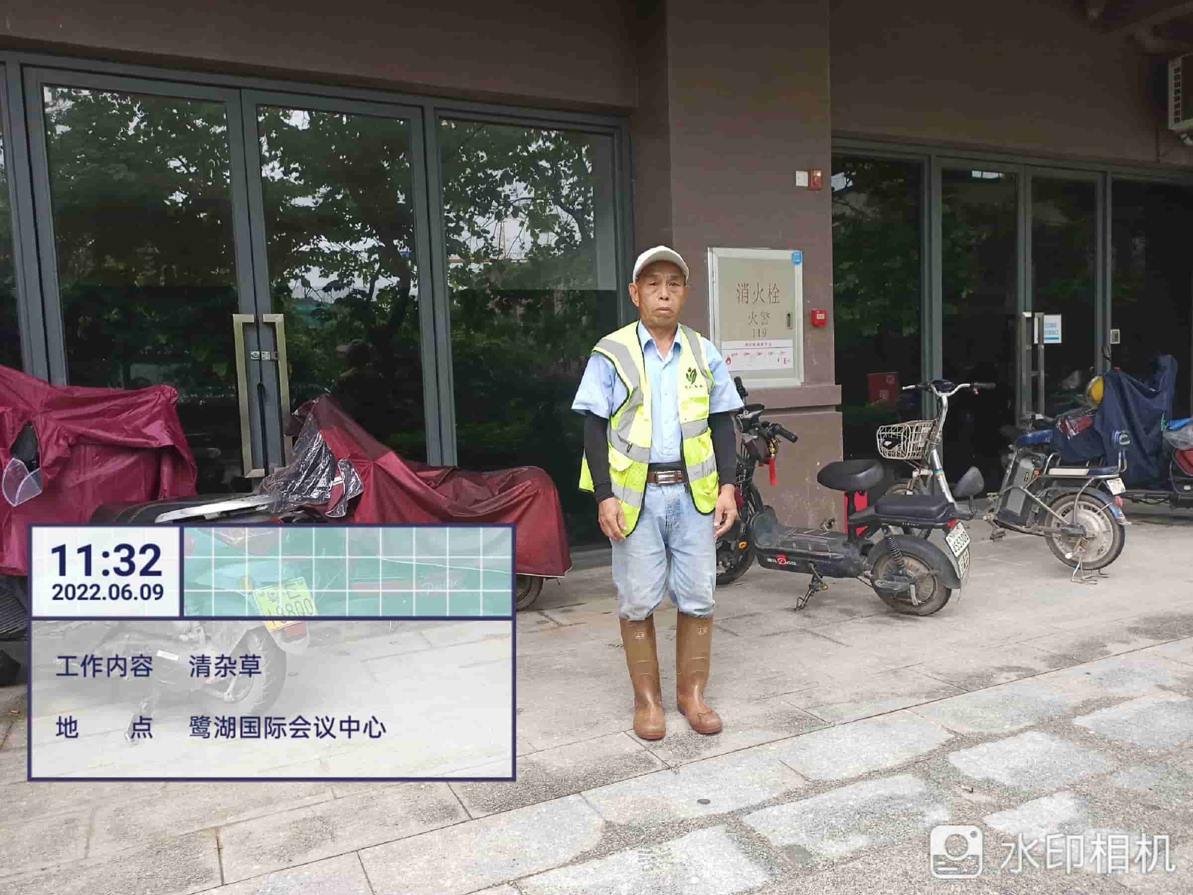 草坪,綠化養護,園林綠化公司