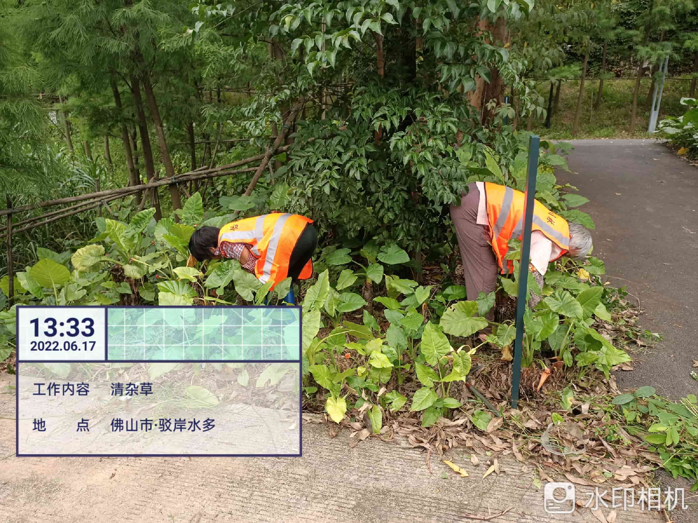園林綠化養護公司