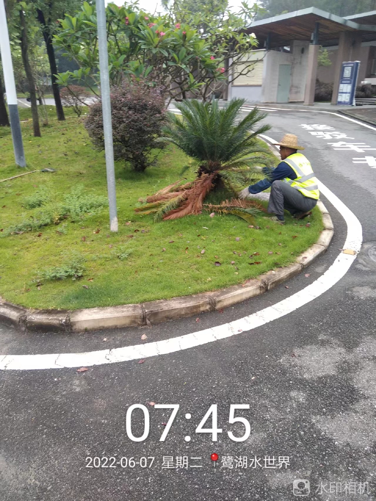 園林綠化養護