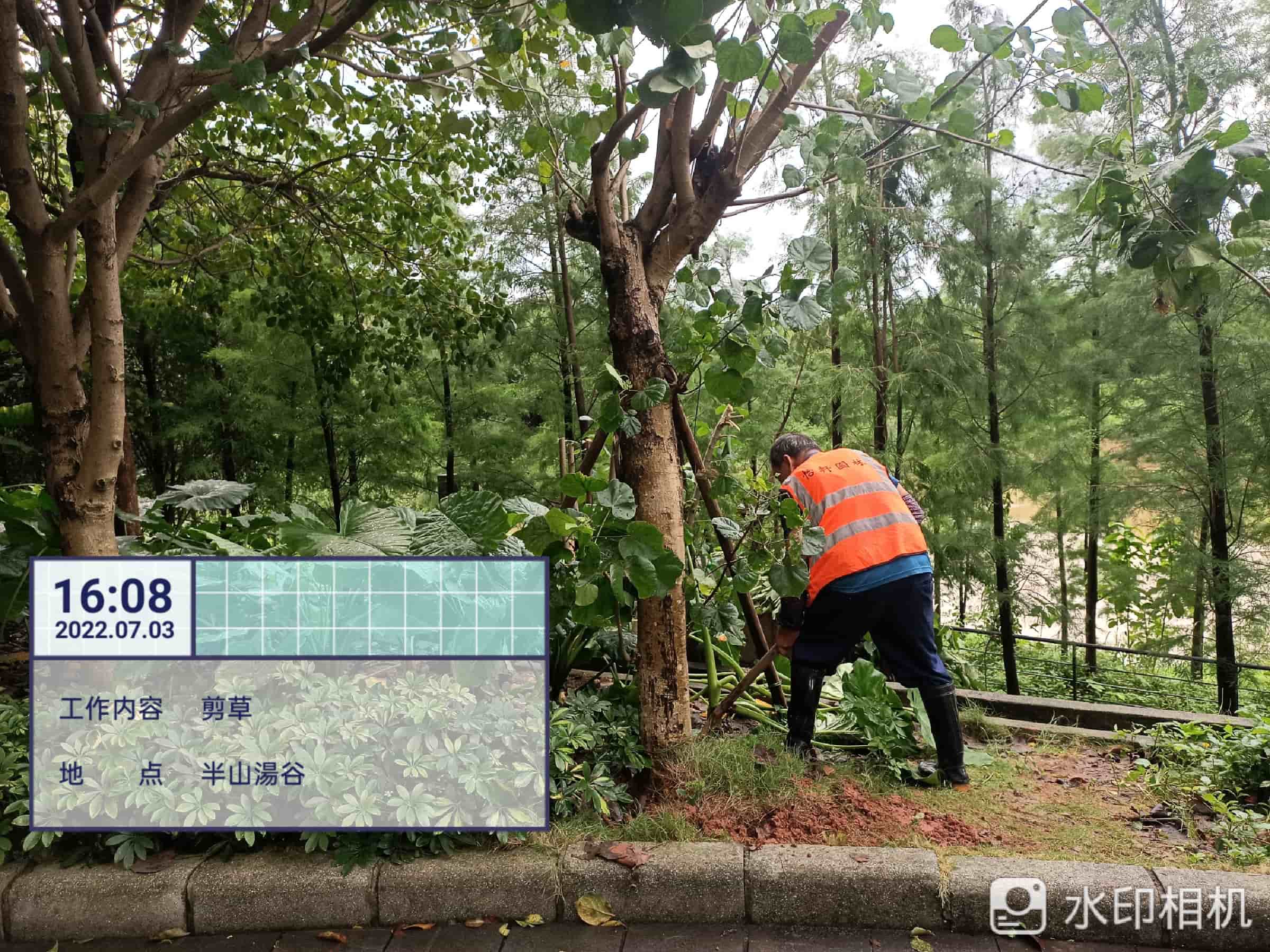 綠化養護,園林綠化