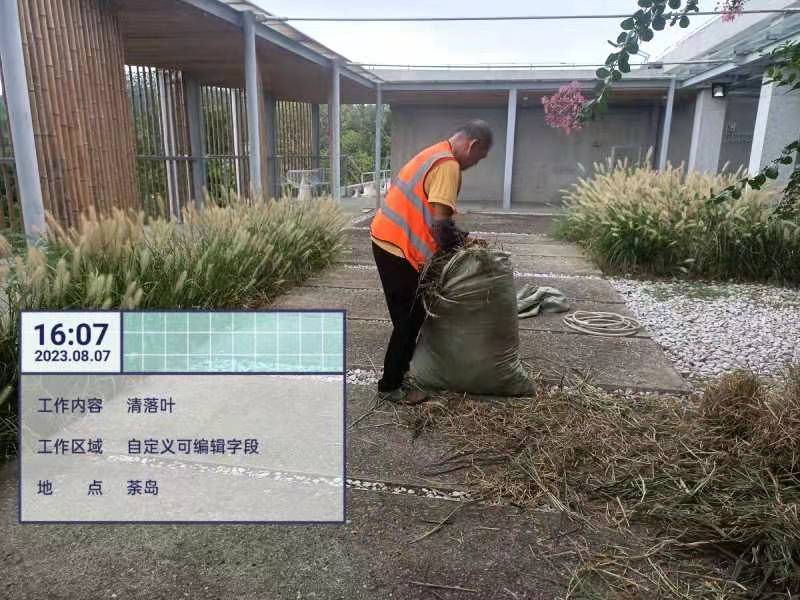 綠化養護